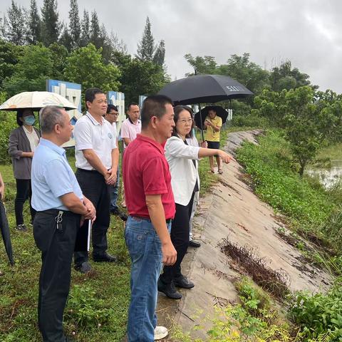 海口市人大常委会主任、市级河长王艳萍深入龙州河（新吴溪）开展巡河调研工作