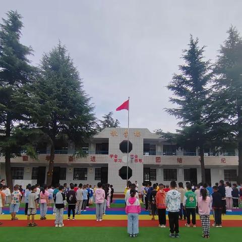 落实五项管理，散发青春活力 ——临平寒寨小学“五项管理”活动总结