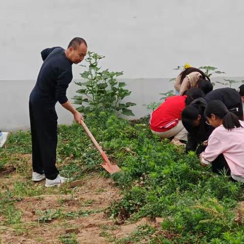 多措并举，健康成长 ——临平寒寨小学 提升课后服务水平工作剪影