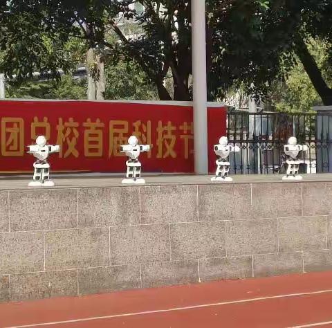 少年话自贸，自信绽阳光——海口市美苑小学第十一周实习总结