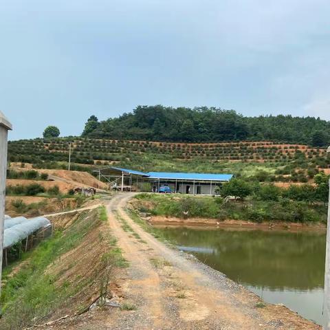 天地茶油香，人间厚莫坊