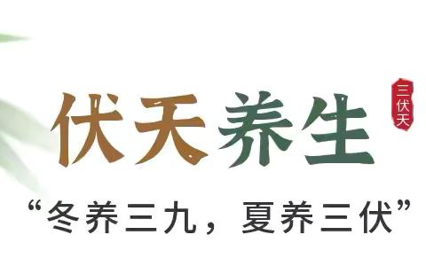 【冬病夏治】冬病夏治三伏贴 脾胃调理正当时