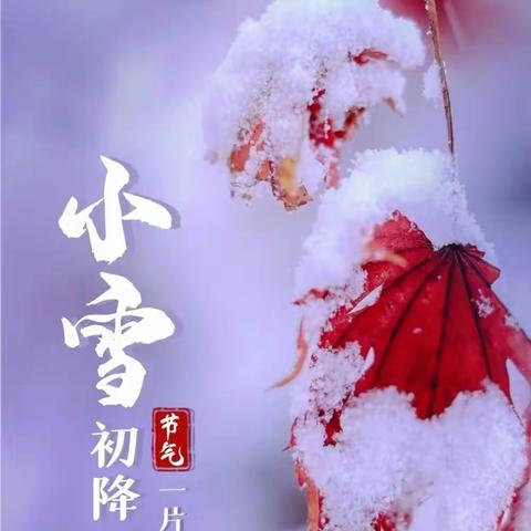 “幼”见小雪，童心暖寒冬——凤凰家苑幼儿园二十四节气之小雪