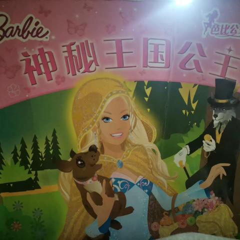 我最爱的书---《神秘王国公主》