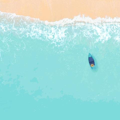 践行行动研究法，探索高中教学新路径——济宁市第二中学开展行动研究法研讨活动