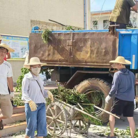 风雨过后，共“净”家园——文昌市龙楼中心小学支部委员会发动全体党员与教职工进行“摩羯”台风过后清洁消毒工作