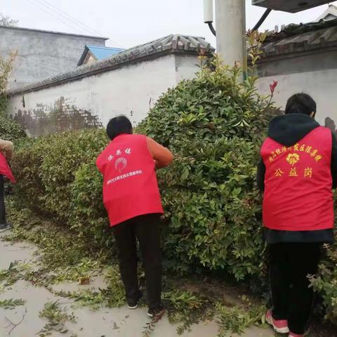 鲁西新区陈集镇曹庙社区打造美丽乡村，助力乡村振兴