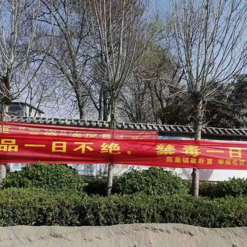 菏泽市鲁西新区陈集镇曹庙社区开展罂粟踏查无死角，铲毒排查不松劲全面踏查活动