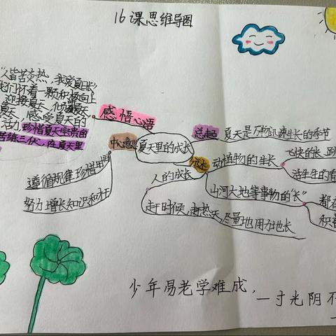 朝阳实验小学95班学生《16夏天里的成长》思维导图实践作业展示