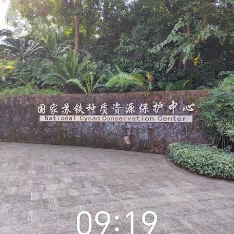 桂园中学8（14）班走进仙湖植物园义工活动记录