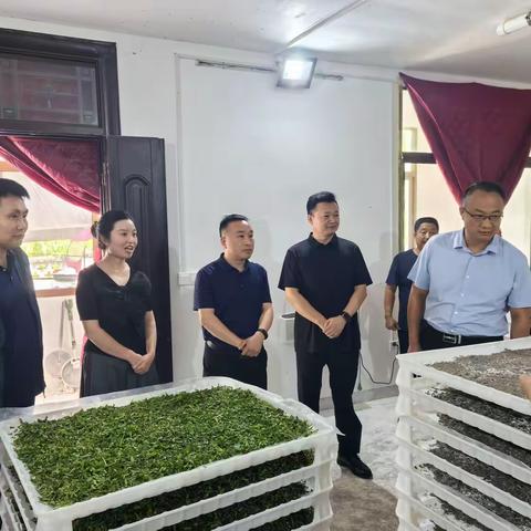 谢俊锋深入庙沟镇调研乡村振兴工作