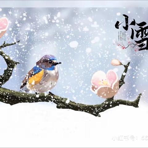 🌟🌟【洛阳市涧西区硕星幼儿园】🌟🌟二十四节气之小雪“暖冬”主题活动