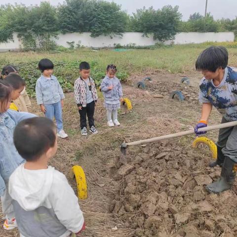 《我和油菜共同成长》