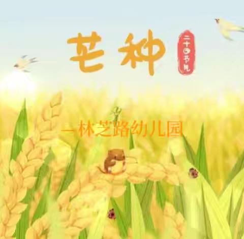 🌾知芒种·乐收获——合肥市林芝路幼儿园中二班芒种活动