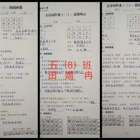 耕读冬日里，烟火少年时——五（8）班寒假生活掠影