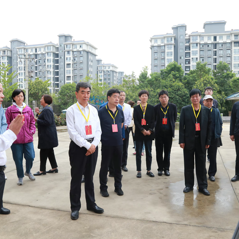 梁主任一行到中岳街道人大代表联络站视察