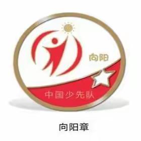 凤城第二初级中学 “红领巾奖章”争章活动细则及评选办法