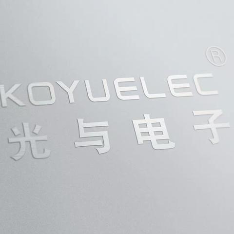 NISSHINBO日清纺微电子（RICOH理光微和JRC日本新无线电）合并一级代理分销商