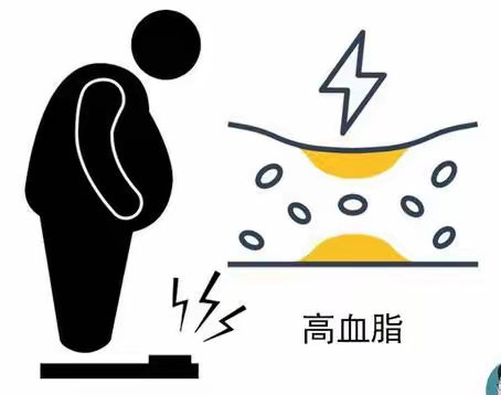 “他汀家族”知多少