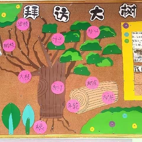 遵义市新蒲新区天娇幼儿园中班《拜访大树🌳》主题活动