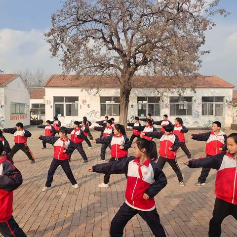 “享阳光体育，扬少年风采”张官屯镇邱庄子小学“两操一课一作业”活动纪实