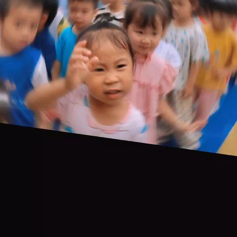 紫荆华韵上城幼儿园小二班第十六周精彩回顾