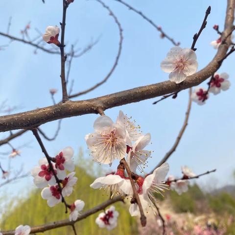 百舸争流展风采  优质课堂竞芬芳——管陶乡中学教师优质课比赛