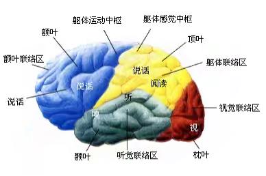 计算机言语疾病矫治让患儿开口说话