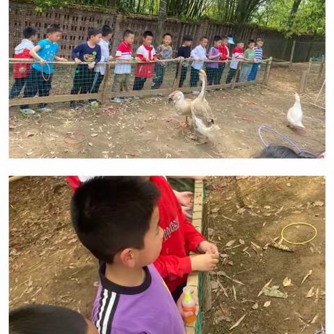 2023年渝北区天堡寨小学秋季研学主题活动