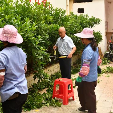 给花圃修枝、现心灵之美