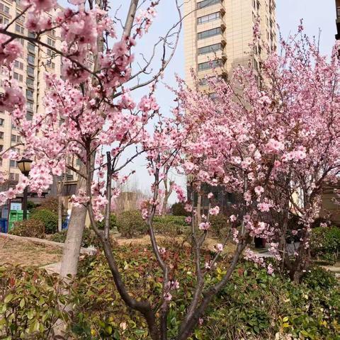 怡馨华庭4月份工作总结