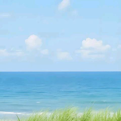 怡馨华庭物业周工作汇报