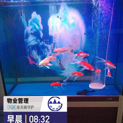 怡馨华庭物业一周工作汇报