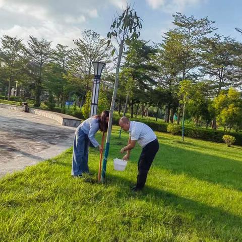 植后养护正当时，不负春光不负苗