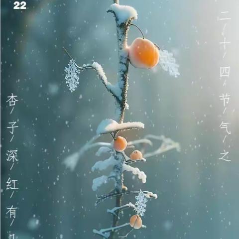 小雪到，冬始俏——会宁县第六幼儿园“小雪”节气主题活动