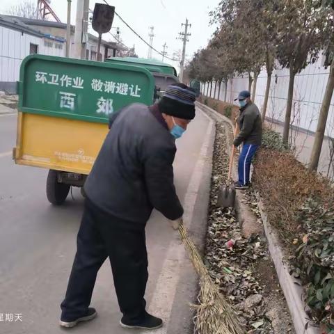 春回大地，百花盛开。为了维护村内清新与美丽，我们的保洁员每天都在清理村里的垃圾枯叶，为了营造一个环境优美，和谐宜居的幸福家园努力奋斗。