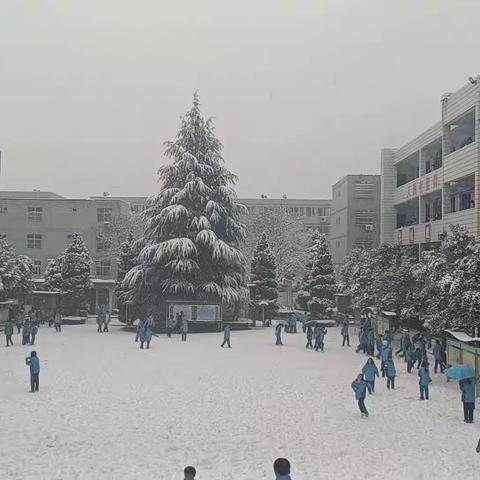 珍惜这份独享于你我与雪的浪漫与美好吧！