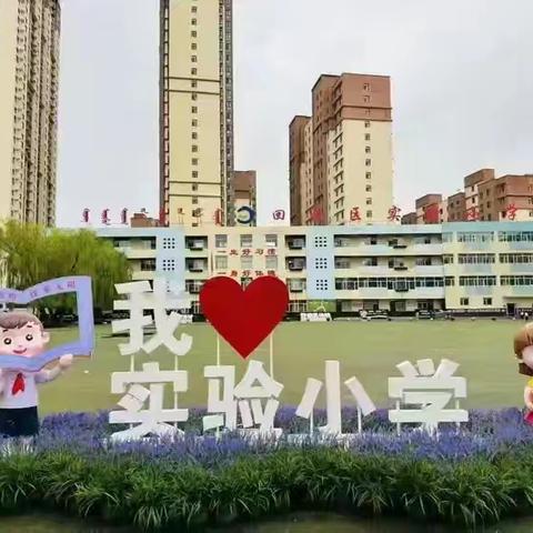 回民区实验小学“人人讲安全，个个会应急”主题升旗仪式