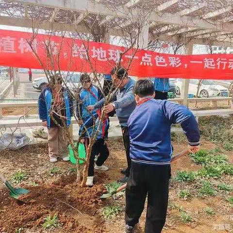 榴园学区植树节主题活动