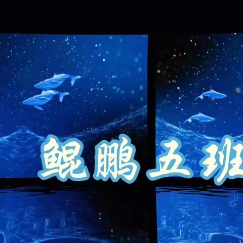 职业五期五班结营典礼