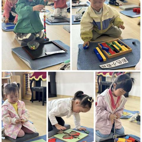 蒙小三班快乐一周