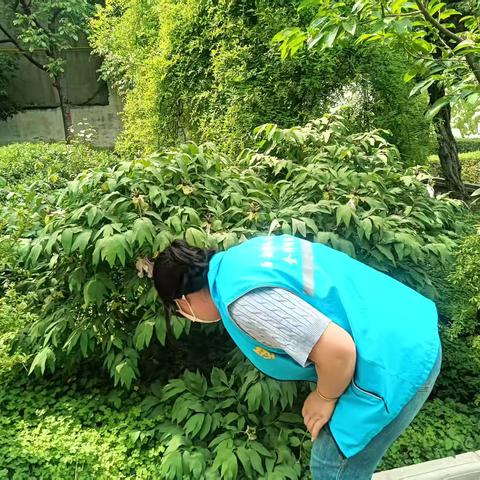 筑牢禁毒防线，守护绿色家园——骊山街道西大街社区网格员联合社区民警开展禁毒排查专项行动