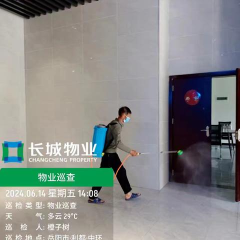 灭杀蚊虫行动