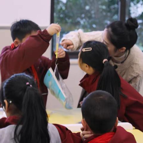 【名师启慧 教研共富】小学科学实践共同体主题教研活动