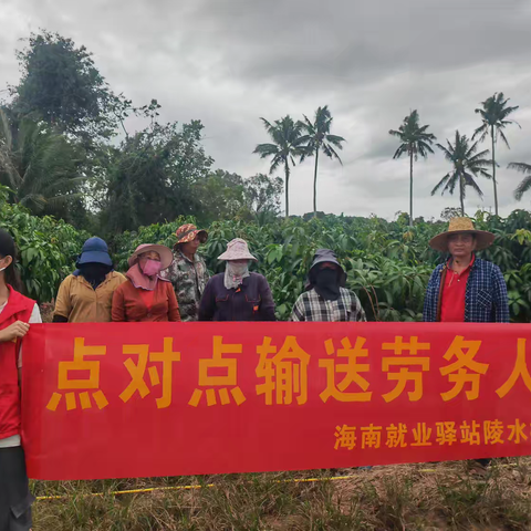 就业帮扶暖人心，陵水椰林就业驿站与劳务带头人共绘灵活就业新画卷