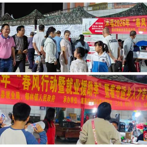 陵水县2026年“春风行动暨就业援助季”暨春节返乡人才专场招聘活动圆满举办