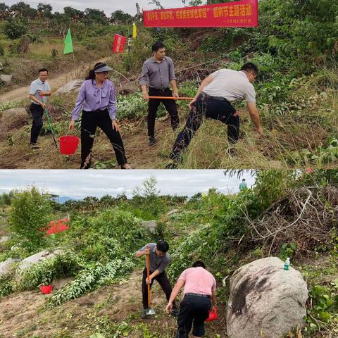 履行植树义务 共建绿色海南—文罗镇开展植树节活动