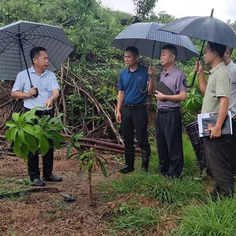 县政府副县长王祺霖赴文罗镇开展常态化巡林巡河工作