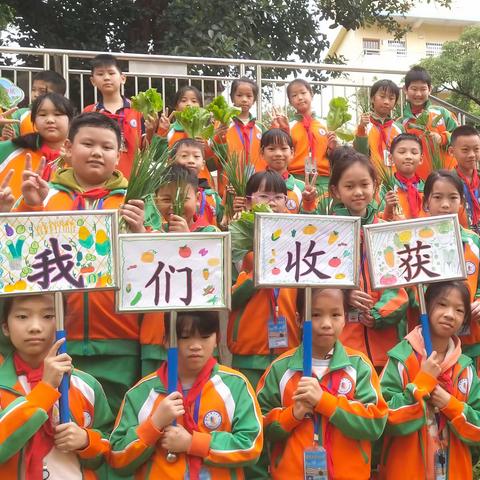 【以劳筑梦 以动育才 】争做新时代好队员——防城区第四小学四.10班劳动实践活动