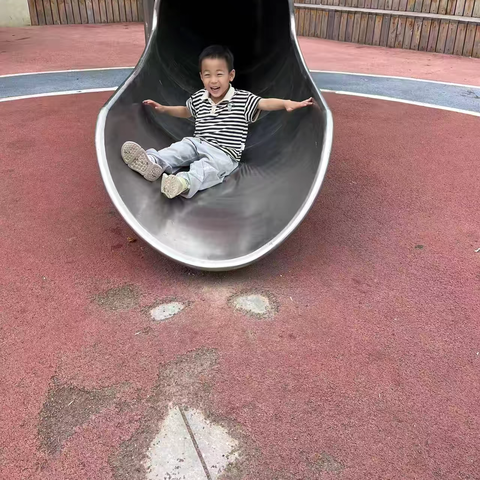 汲取绘本智慧 分享阅读快乐——寨卢幼儿园绘本故事屋（第五十九期）